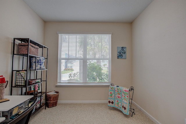 sitting room with a wealth of natural light and carpet