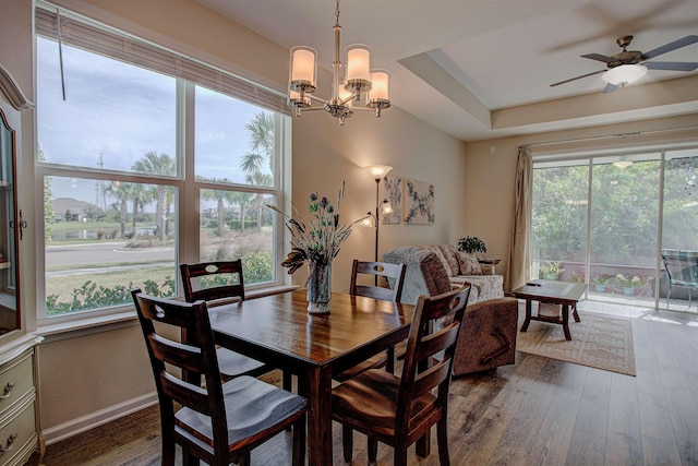 dining room with a raised ceiling, dark wood-type flooring, and ceiling fan with notable chandelier