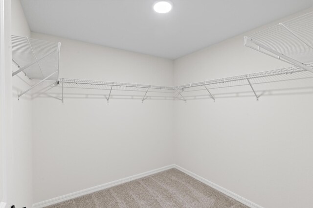 10 Reine Pl, Palm Coast, FL 32164 - spacious closet featuring carpet floors