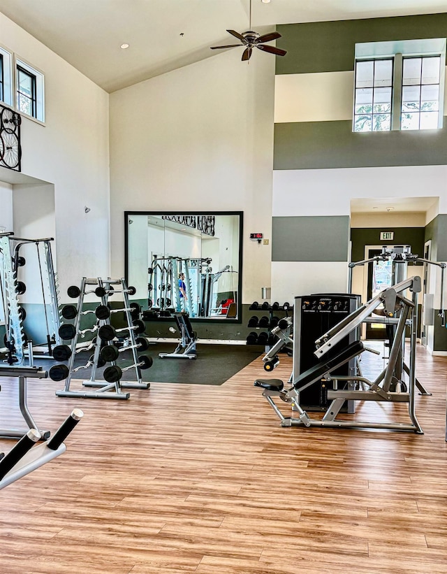 exercise room with ceiling fan, a healthy amount of sunlight, a towering ceiling, and hardwood / wood-style floors