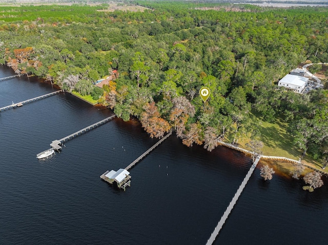 birds eye view of property with a water view and a view of trees