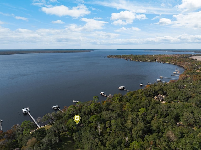 drone / aerial view featuring a water view