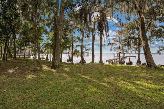 view of yard with a dock and a water view