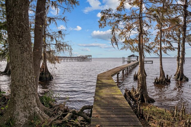 dock area featuring a water view