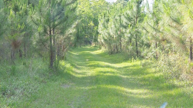 641 E State Road 100 C, Unit C, San Mateo, FL 32187