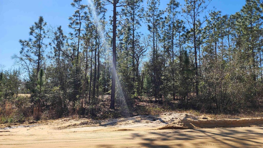 Union Ave, Interlachen, FL 32148