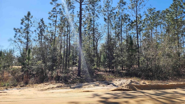 Union Ave, Interlachen, FL 32148