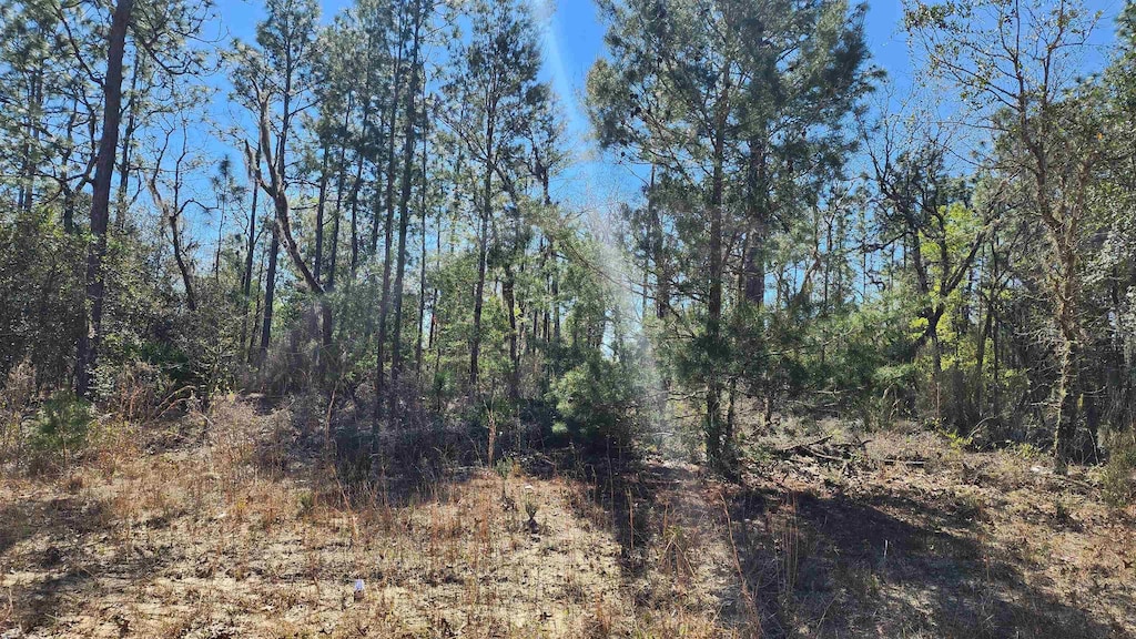 Union Ave, Interlachen, FL 32148