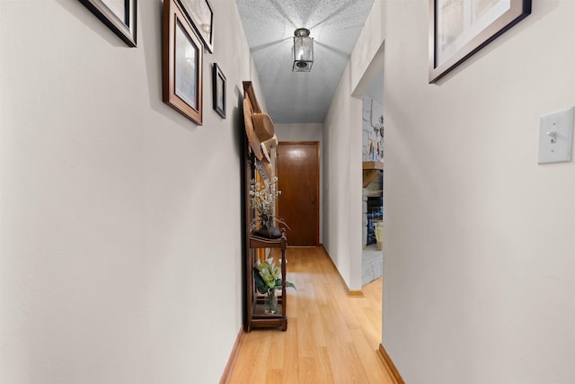 424 Orchis Rd, Saint Augustine, FL 32086 - hallway with light wood-style floors