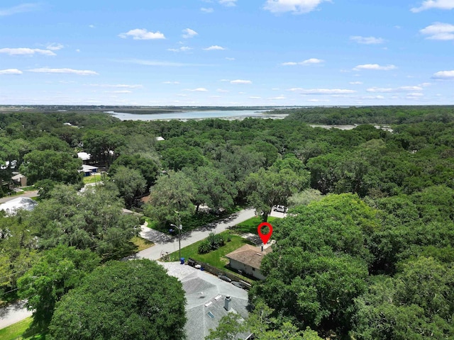 424 Orchis Rd, Saint Augustine, FL 32086 - bird's eye view of a forest and a nearby body of water