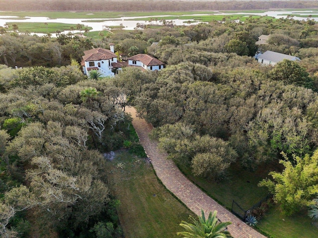 1332 Ponte Vedra Blvd, Ponte Vedra Beach, FL 32082 - aerial overview of property's location with rural landscape and a heavily wooded area