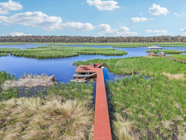 view of water feature with a boat dock