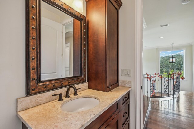 bathroom with vanity and wood-type flooring