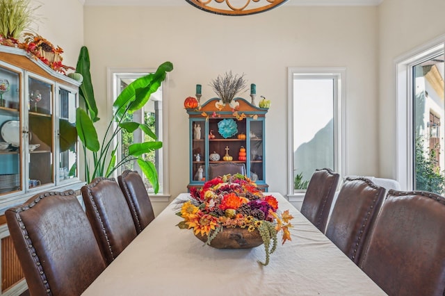 dining space featuring a wealth of natural light