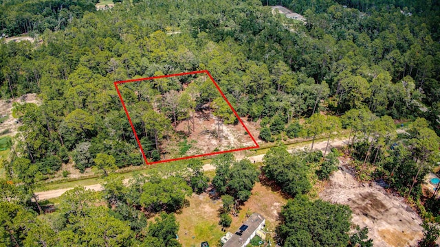 10150 Delgado Ave, Hastings, FL 32145