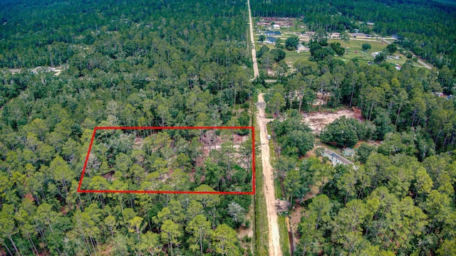 10150 Delgado Ave, Hastings, FL 32145
