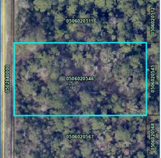 10150 Delgado Ave, Hastings, FL 32145