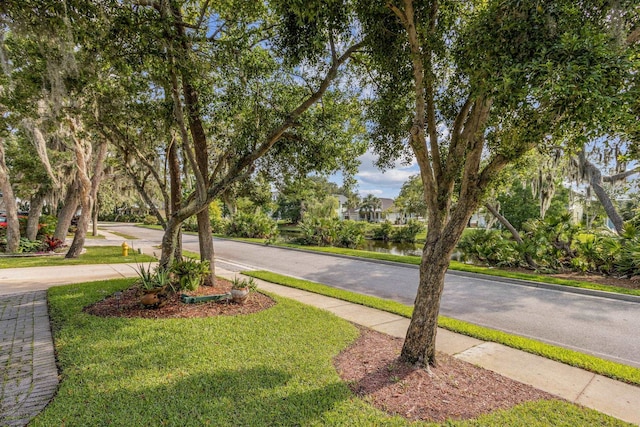 520 Weeping Willow Ln, Saint Augustine, FL 32080 - view of street with sidewalks