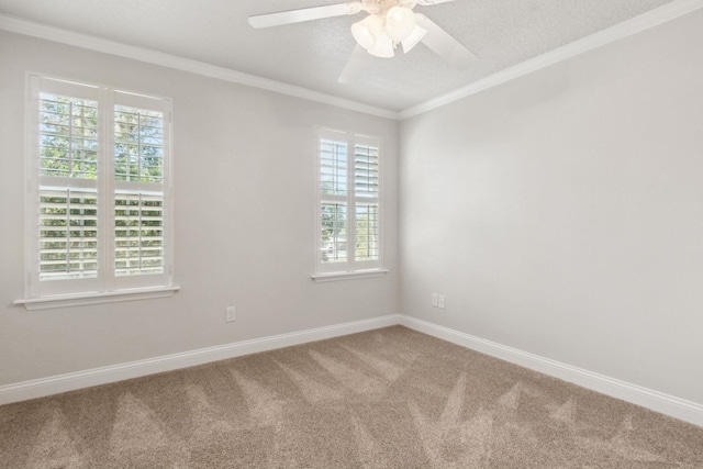 520 Weeping Willow Ln, Saint Augustine, FL 32080 - spare room with healthy amount of natural light, carpet flooring, ceiling fan, crown molding, and baseboards