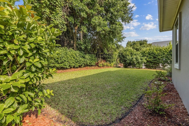 520 Weeping Willow Ln, Saint Augustine, FL 32080 - view of green lawn