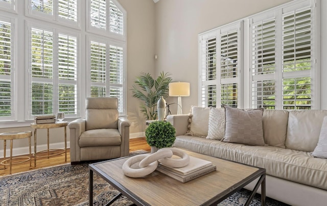 living room with plenty of natural light and hardwood / wood-style floors