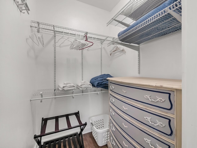 519 Arricola Ave, Saint Augustine, FL 32080 - walk in closet featuring dark wood finished floors