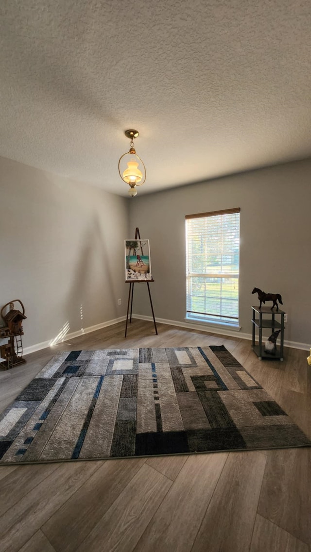 unfurnished dining area featuring wood finished floors, baseboards, and a textured ceiling