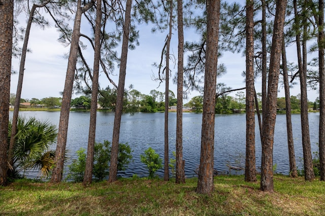 9 Kings Colony Ct Unit 9, Palm Coast, FL 32137 - water view