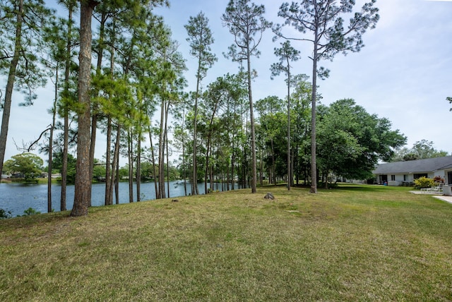 9 Kings Colony Ct Unit 9, Palm Coast, FL 32137 - view of grassy yard featuring a water view