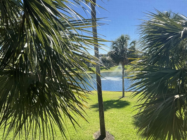 66 Village Del Lago Cir, Saint Augustine, FL 32080 - view of water feature