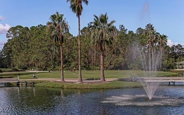 surrounding community with a lawn and a water view