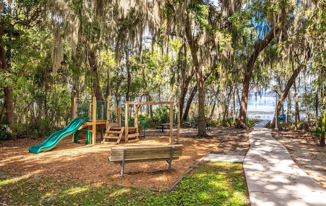 view of jungle gym