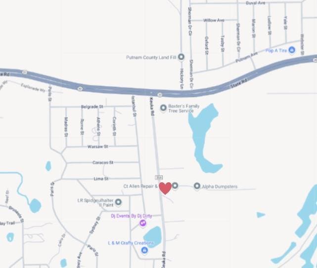 Bangkok St, Interlachen, FL 32148 - photo 3