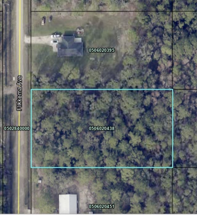 10110 Flikkema Ave, Hastings FL, 32145 land for sale