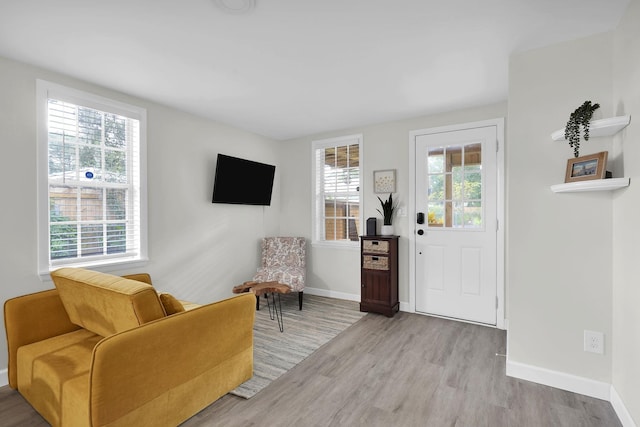 foyer entrance featuring light hardwood / wood-style flooring