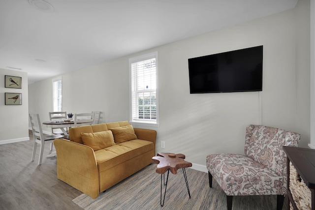 living room with hardwood / wood-style floors