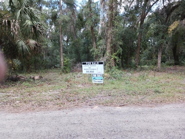 800 4th Ave, Welaka FL, 32193 land for sale