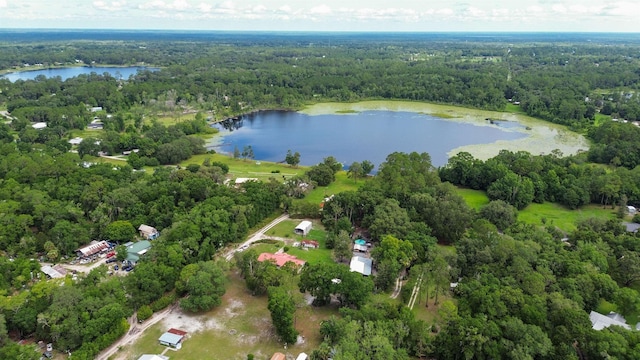 134 Gelis St, Palatka, FL 32177 - photo 29