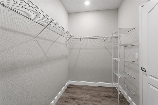 spacious closet featuring wood finished floors