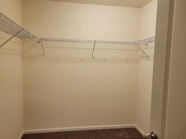 201 Blue Creek Way, Saint Augustine, FL 32086 - spacious closet with dark carpet