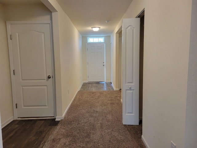 201 Blue Creek Way, Saint Augustine, FL 32086 - corridor featuring dark wood-style flooring and dark colored carpet