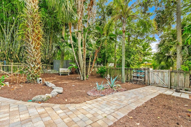 26 Ponce De Leon Ave, Saint Augustine, FL 32080 - view of yard featuring a gate