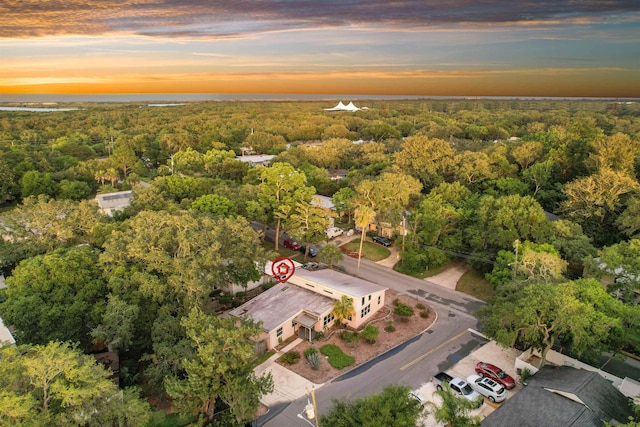 23 Fancher Ct, Saint Augustine, FL 32080 - aerial view of a forest