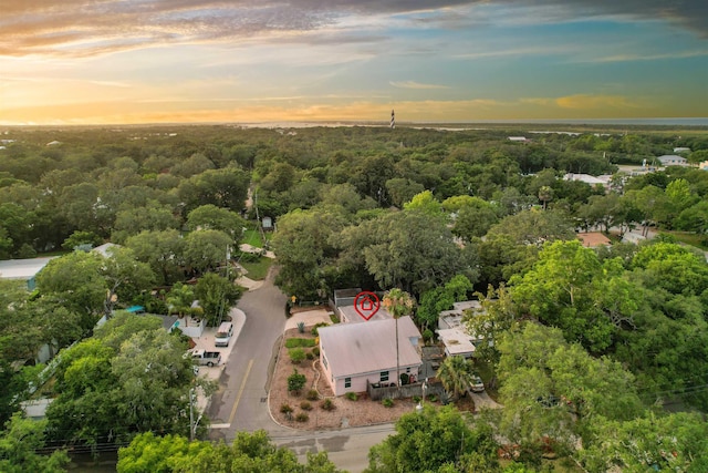 23 Fancher Ct, Saint Augustine, FL 32080 - aerial view at dusk of a forest view