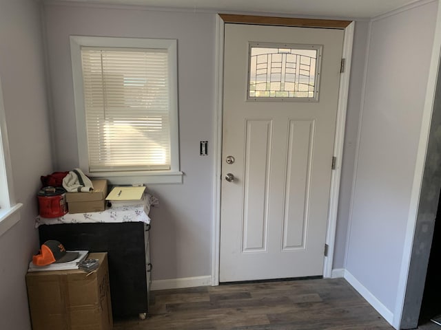 entryway with dark wood-type flooring and a wealth of natural light