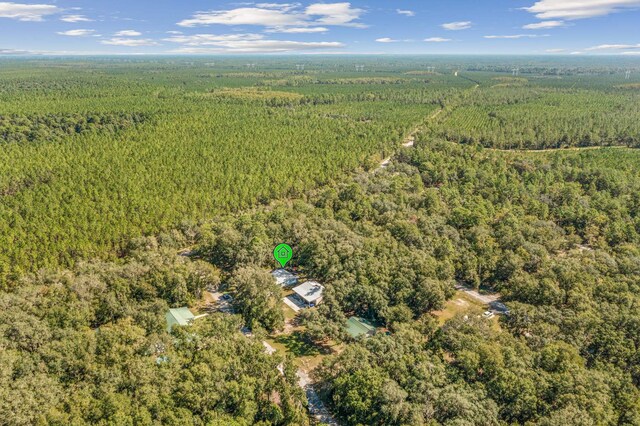 112 Holly Dr, Florahome, FL 32140 - photo 6