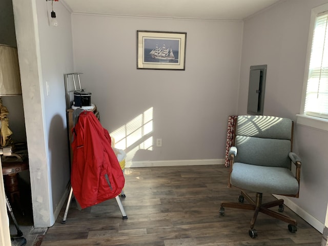 sitting room with crown molding, a healthy amount of sunlight, electric panel, and dark hardwood / wood-style flooring