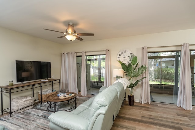 living room featuring ceiling fan and light hardwood / wood-style flooring