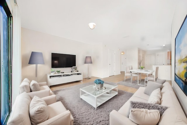living room with light hardwood / wood-style flooring