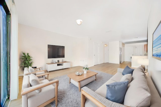 living room with light hardwood / wood-style floors